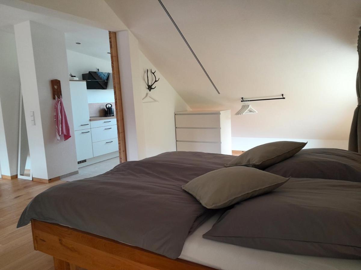 אשאו אים כימגאו Ferienwohnung Bergblick Loft מראה חיצוני תמונה